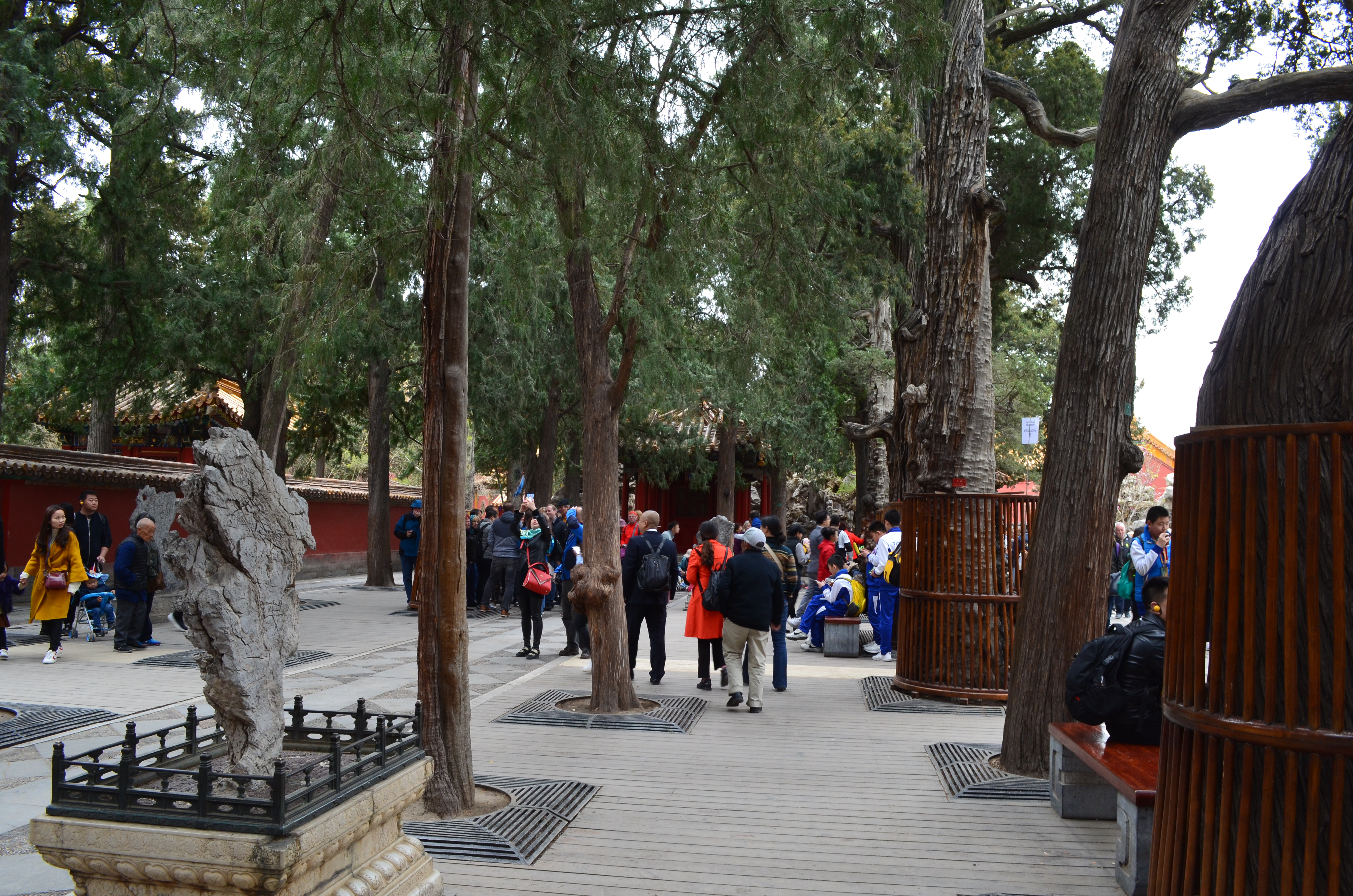 ./2018/03 - Viking China/06 - Forbidden City/DSC_10091.JPG
